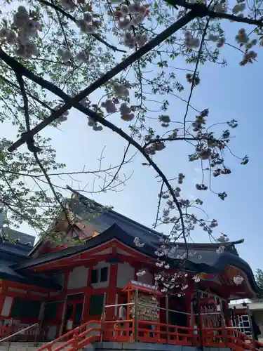 花園神社の自然