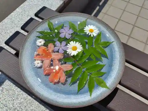 美瑛神社の手水舎