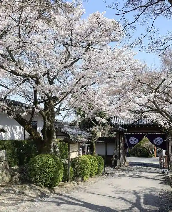 西教寺(滋賀県)