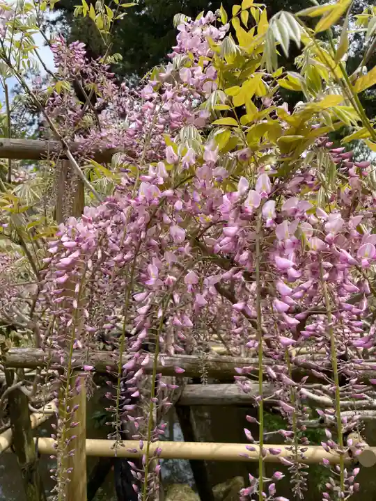 歌泉堂(春日大社神苑萬葉植物園内鎮座)(奈良県)