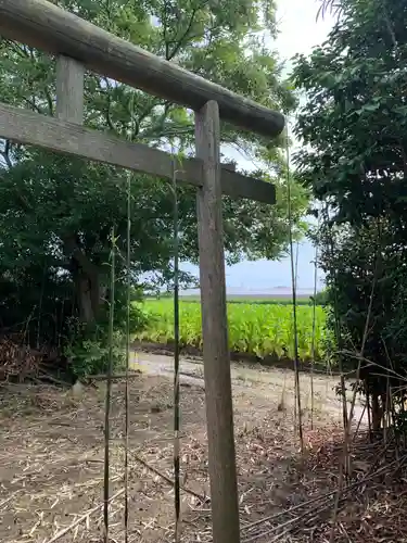 厳島神社(千葉県)