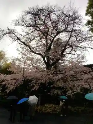 阿佐ヶ谷神明宮(東京都)