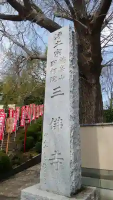 三佛寺の歴史