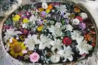 立志神社の手水舎