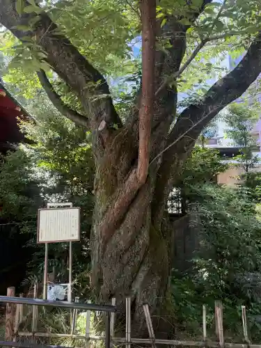 金王八幡宮の{uncategorized: "未分類", other: "その他", undefined: "問題あり", building: "その他建物", grave: "お墓", sacred_gate: "鳥居", guardian: "狛犬", statue: "像", buddha: "仏像", history: "歴史", nature: "自然", garden: "庭園", animal: "動物", pagoda: "塔", temizu: "手水舎", mountain_gate: "山門・神門", sanctuary: "本殿・本堂", subordinate: "末社・摂社", art: "芸術", scenery: "景色", jizo: "地蔵", ema: "絵馬", goshuin: "御朱印", omikuji: "おみくじ", items: "授与品その他", amulet: "お守り", goshuincho: "御朱印帳", eats: "食事", festival: "お祭り", votive_dance: "神楽", shichigosan: "七五三参", wedding: "結婚式", experience: "体験その他", initially: "初詣", around: "周辺", anti_infection: "感染症対策"}