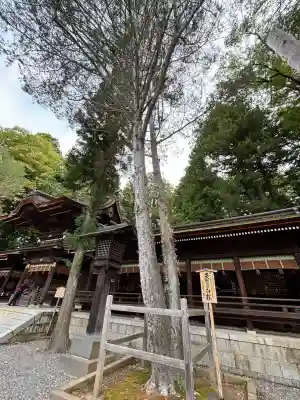 諏訪大社下社秋宮(長野県)