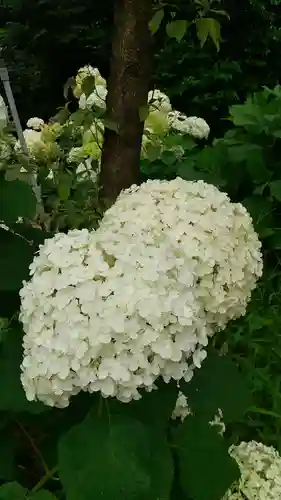 本土寺(千葉県)