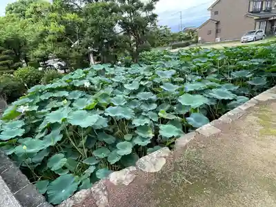 雲龍山 本證寺(愛知県)
