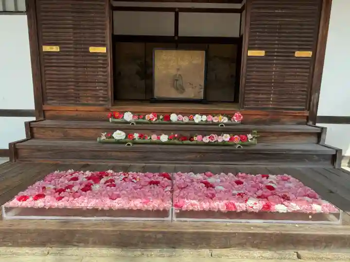 霊鑑寺門跡(京都府)