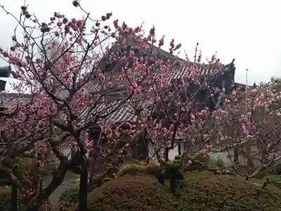 穴太寺(京都府)