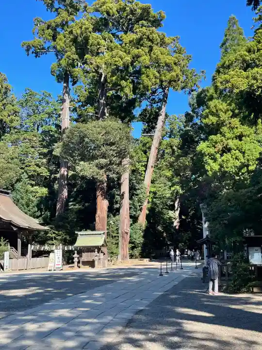 鹿島神宮(茨城県)