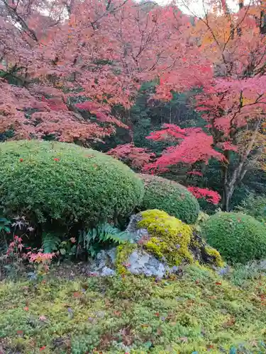 詩仙堂（丈山寺）の庭園