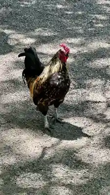 石上神宮(奈良県)