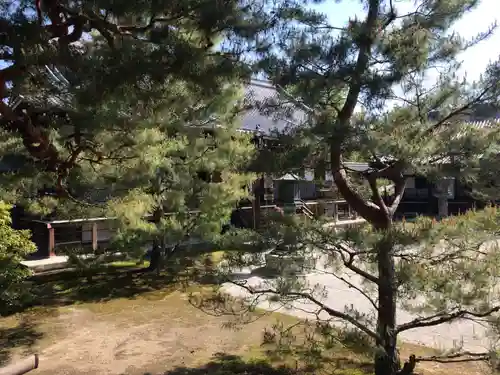 大覚寺(京都府)