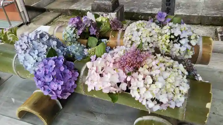 極楽寺のその他建物