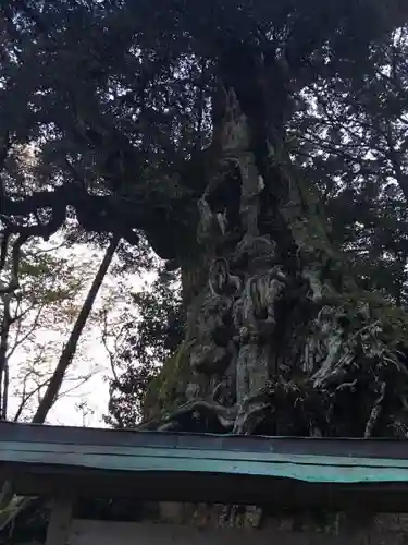 毛津神社の建物その他