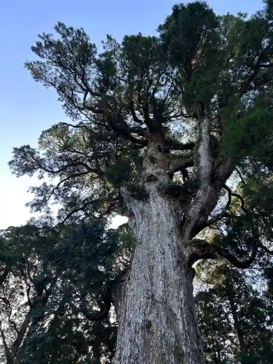 霧島神宮の{uncategorized: "未分類", other: "その他", undefined: "問題あり", building: "その他建物", grave: "お墓", sacred_gate: "鳥居", guardian: "狛犬", statue: "像", buddha: "仏像", history: "歴史", nature: "自然", garden: "庭園", animal: "動物", pagoda: "塔", temizu: "手水舎", mountain_gate: "山門・神門", sanctuary: "本殿・本堂", subordinate: "末社・摂社", art: "芸術", scenery: "景色", jizo: "地蔵", ema: "絵馬", goshuin: "御朱印", omikuji: "おみくじ", items: "授与品その他", amulet: "お守り", goshuincho: "御朱印帳", eats: "食事", festival: "お祭り", votive_dance: "神楽", shichigosan: "七五三参", wedding: "結婚式", experience: "体験その他", initially: "初詣", around: "周辺", anti_infection: "感染症対策"}