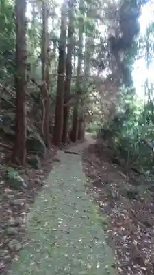 小坂不動尊の周辺