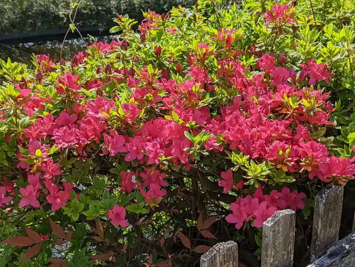 六孫王神社(京都府)