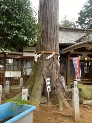 山倉大神の{uncategorized: "未分類", other: "その他", undefined: "問題あり", building: "その他建物", grave: "お墓", sacred_gate: "鳥居", guardian: "狛犬", statue: "像", buddha: "仏像", history: "歴史", nature: "自然", garden: "庭園", animal: "動物", pagoda: "塔", temizu: "手水舎", mountain_gate: "山門・神門", sanctuary: "本殿・本堂", subordinate: "末社・摂社", art: "芸術", scenery: "景色", jizo: "地蔵", ema: "絵馬", goshuin: "御朱印", omikuji: "おみくじ", items: "授与品その他", amulet: "お守り", goshuincho: "御朱印帳", eats: "食事", festival: "お祭り", votive_dance: "神楽", shichigosan: "七五三参", wedding: "結婚式", experience: "体験その他", initially: "初詣", around: "周辺", anti_infection: "感染症対策"}