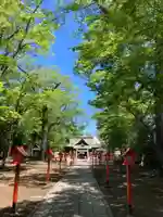 上野総社神社(群馬県)