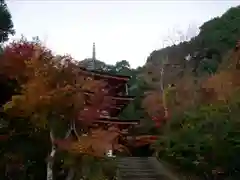 浄瑠璃寺の建物その他