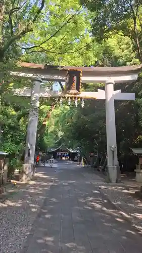 若宮八幡宮(高知県)