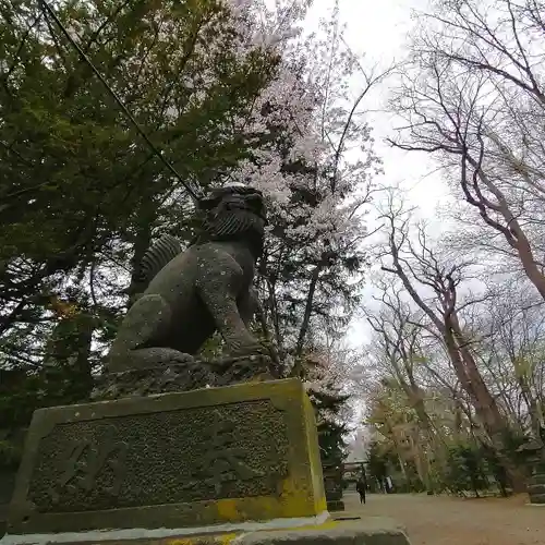 信濃神社の狛犬