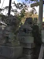 香取神社の狛犬