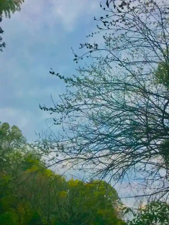 毘沙門天堂の周辺