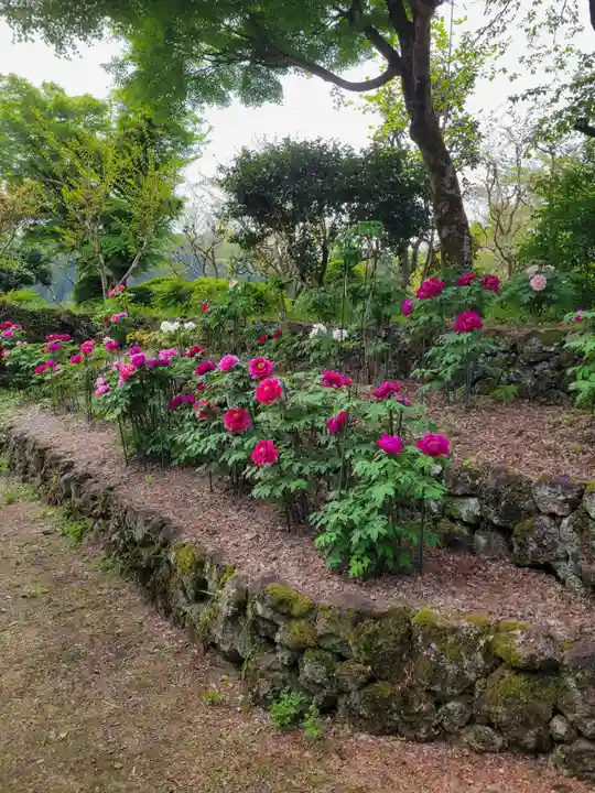 隆国寺(兵庫県)