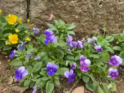 椿ノ海　水神社(千葉県)