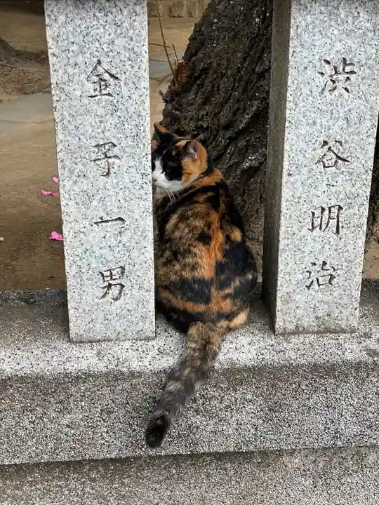 柏諏訪神社の動物