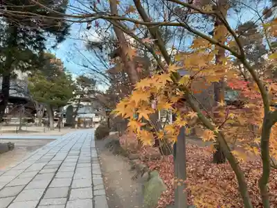 四柱神社(長野県)