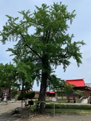 熊野神社(宮城県)