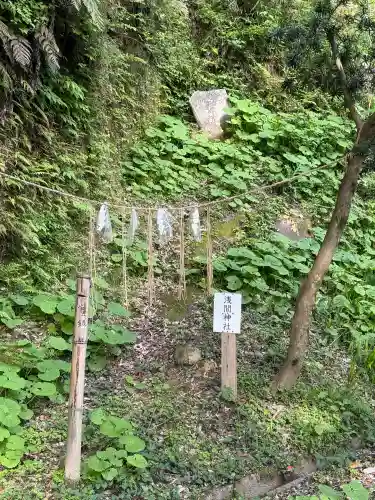 鵜羽神社の{uncategorized: "未分類", other: "その他", undefined: "問題あり", building: "その他建物", grave: "お墓", sacred_gate: "鳥居", guardian: "狛犬", statue: "像", buddha: "仏像", history: "歴史", nature: "自然", garden: "庭園", animal: "動物", pagoda: "塔", temizu: "手水舎", mountain_gate: "山門・神門", sanctuary: "本殿・本堂", subordinate: "末社・摂社", art: "芸術", scenery: "景色", jizo: "地蔵", ema: "絵馬", goshuin: "御朱印", omikuji: "おみくじ", items: "授与品その他", amulet: "お守り", goshuincho: "御朱印帳", eats: "食事", festival: "お祭り", votive_dance: "神楽", shichigosan: "七五三参", wedding: "結婚式", experience: "体験その他", initially: "初詣", around: "周辺", anti_infection: "感染症対策"}