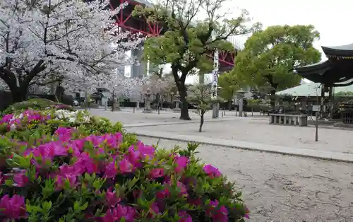 若松恵比須神社 の庭園