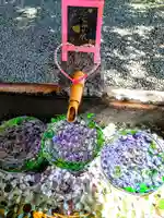 川越熊野神社の手水舎