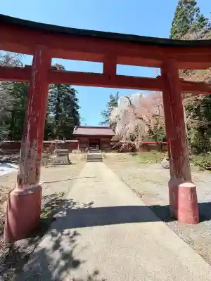 高照神社の{uncategorized: "未分類", other: "その他", undefined: "問題あり", building: "その他建物", grave: "お墓", sacred_gate: "鳥居", guardian: "狛犬", statue: "像", buddha: "仏像", history: "歴史", nature: "自然", garden: "庭園", animal: "動物", pagoda: "塔", temizu: "手水舎", mountain_gate: "山門・神門", sanctuary: "本殿・本堂", subordinate: "末社・摂社", art: "芸術", scenery: "景色", jizo: "地蔵", ema: "絵馬", goshuin: "御朱印", omikuji: "おみくじ", items: "授与品その他", amulet: "お守り", goshuincho: "御朱印帳", eats: "食事", festival: "お祭り", votive_dance: "神楽", shichigosan: "七五三参", wedding: "結婚式", experience: "体験その他", initially: "初詣", around: "周辺", anti_infection: "感染症対策"}