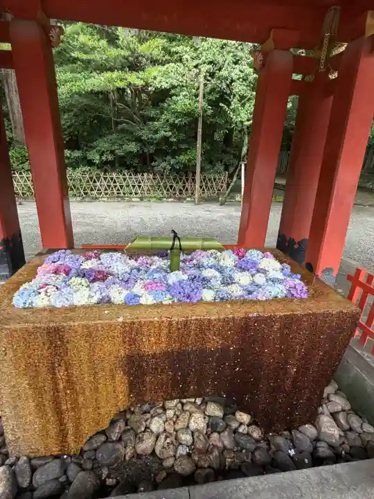 鶴岡八幡宮の手水舎