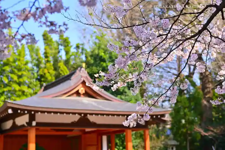 阿佐ヶ谷神明宮(東京都)