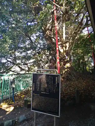 阿蘇神社のその他建物