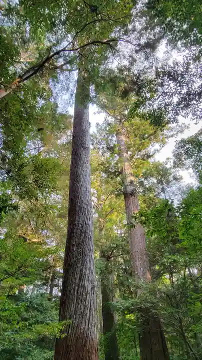 瀧原宮(皇大神宮別宮)(三重県)