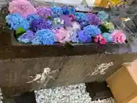 西野神社の手水舎