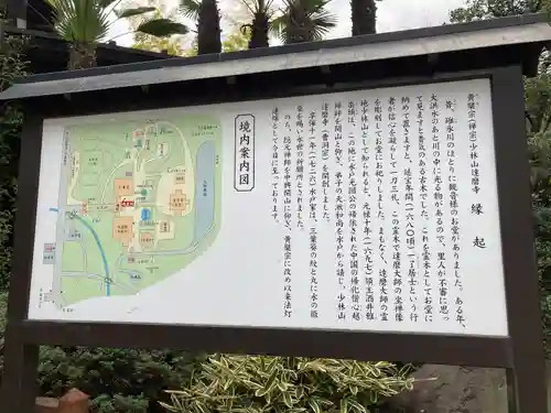 達磨寺(群馬県)