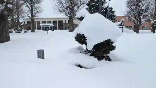 旭川別院の自然