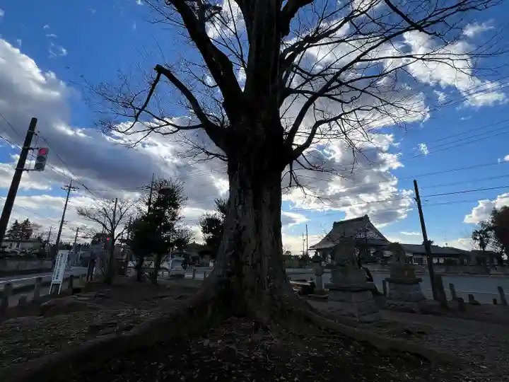 桑山神社(茨城県)