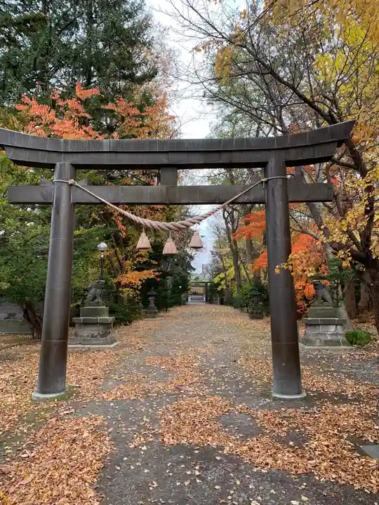 信濃神社の鳥居
