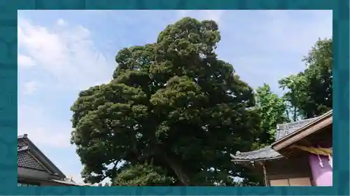 九重神社(埼玉県)