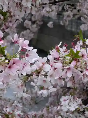 東光寺(東京都)